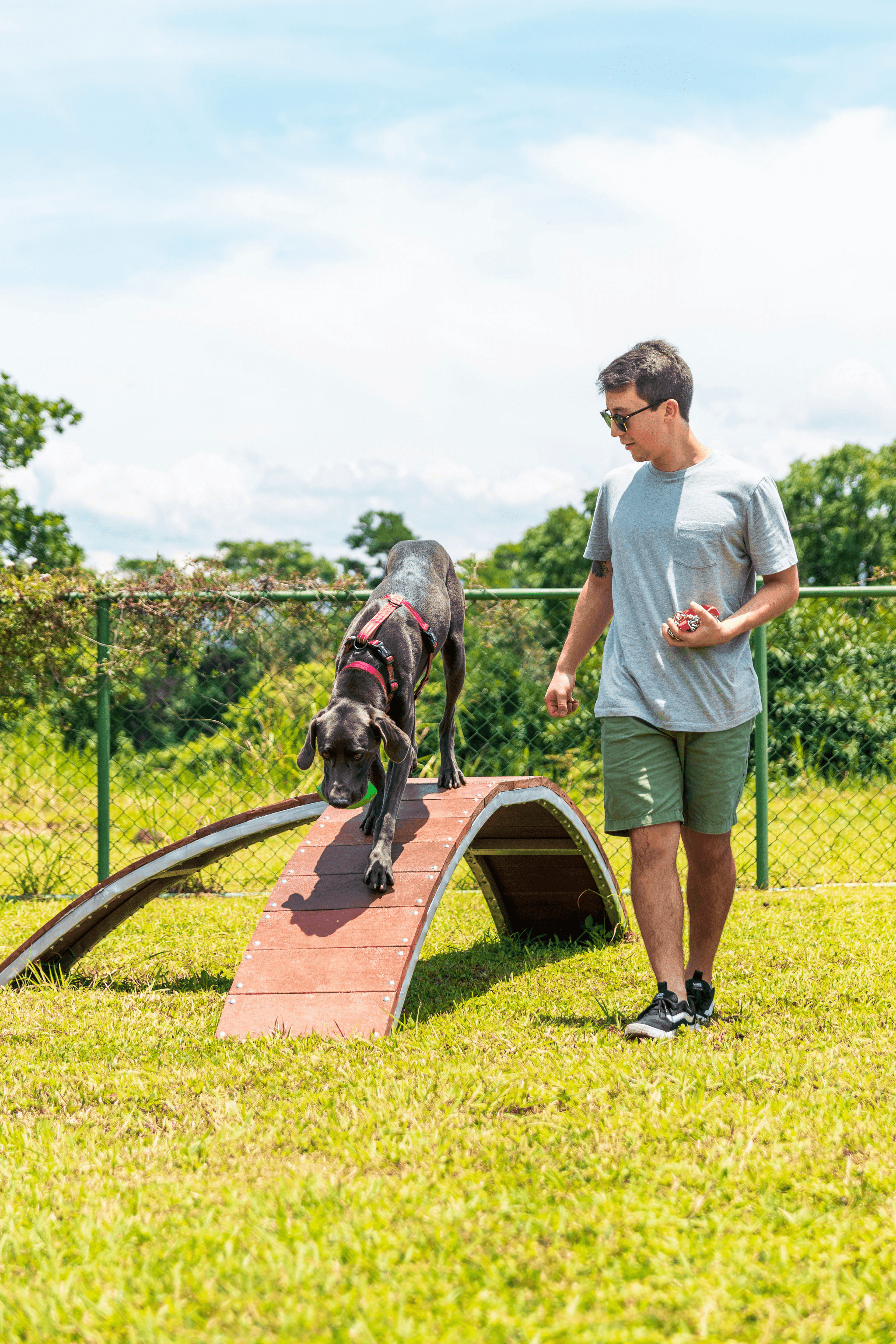 DOG PARK.png
